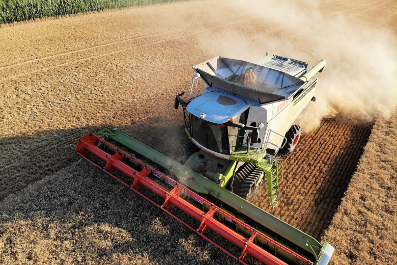 Россия экспортирует 50 млн тонн зерна в следующем сельхозгоду